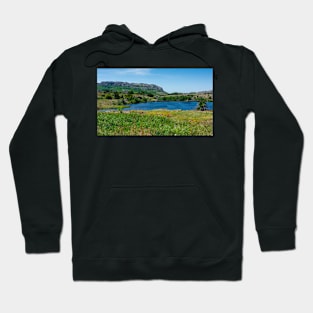 Caddo Lake - Wichita Mountains - Oklahoma Hoodie